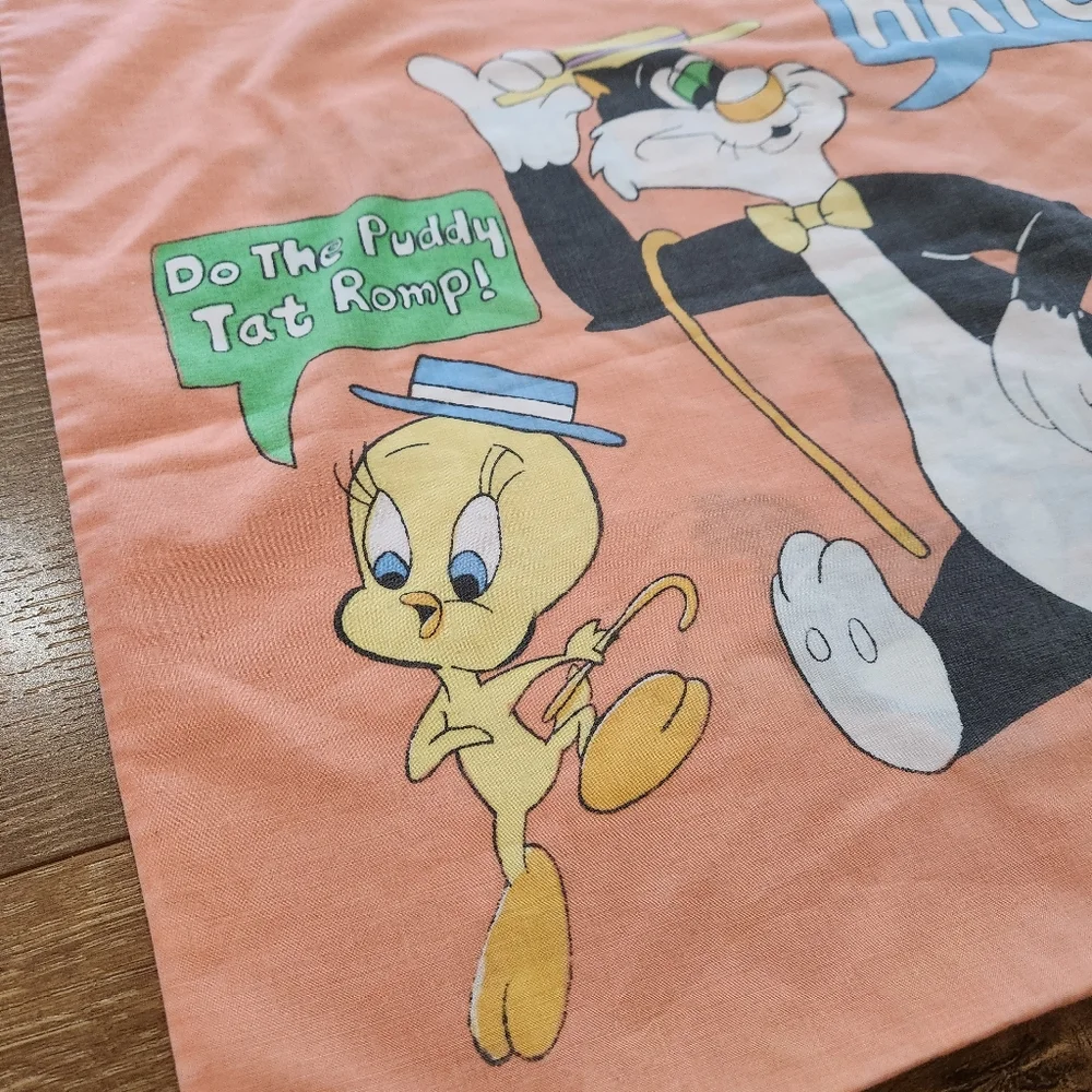 Vintage 90s Warner Bros Tweety bird and Sylvester single pillow case retro